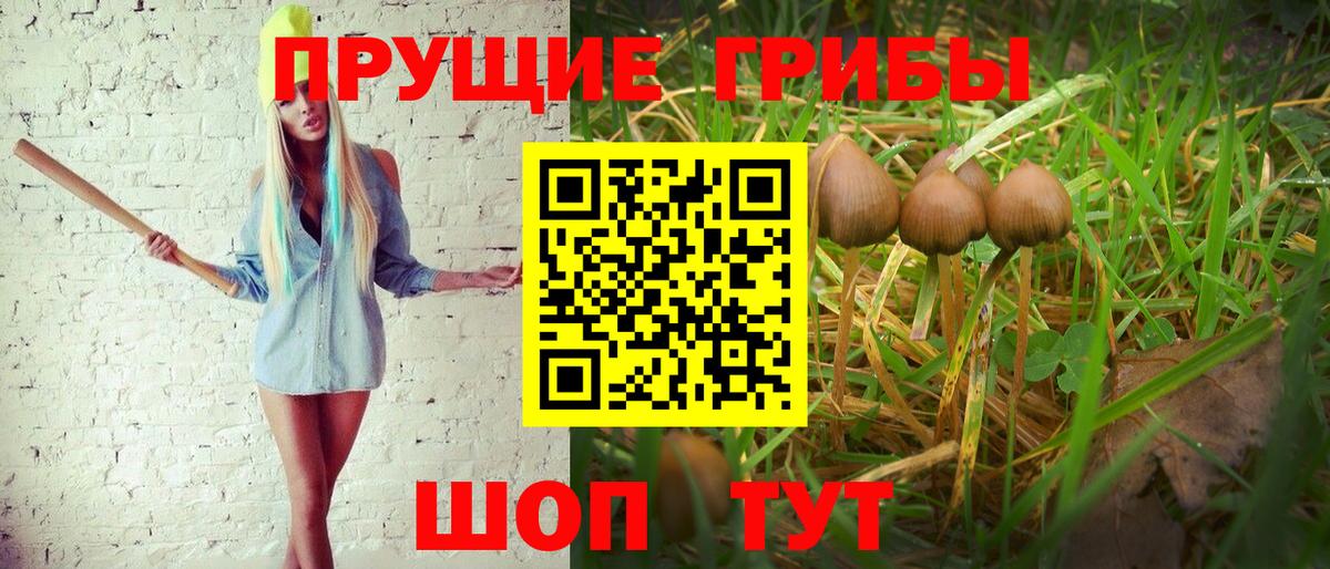 Галлюциногенные грибы Magic Shrooms Ярославль