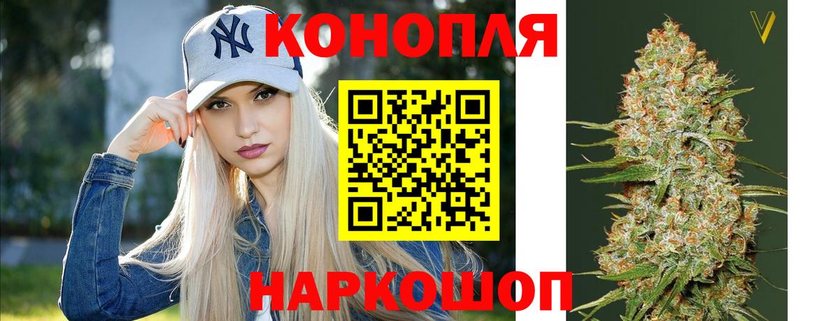 Конопля конопля Ярославль